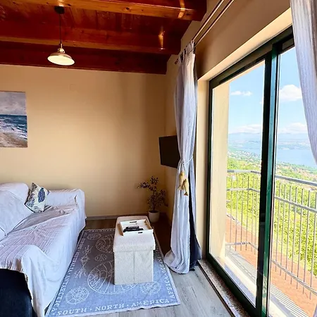 Kozul S Predivnim Pogledom Na *