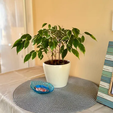 Kozul S Predivnim Pogledom Na Lovran