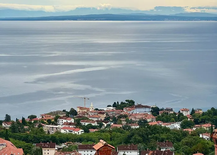 Kozul S Predivnim Pogledom Na *